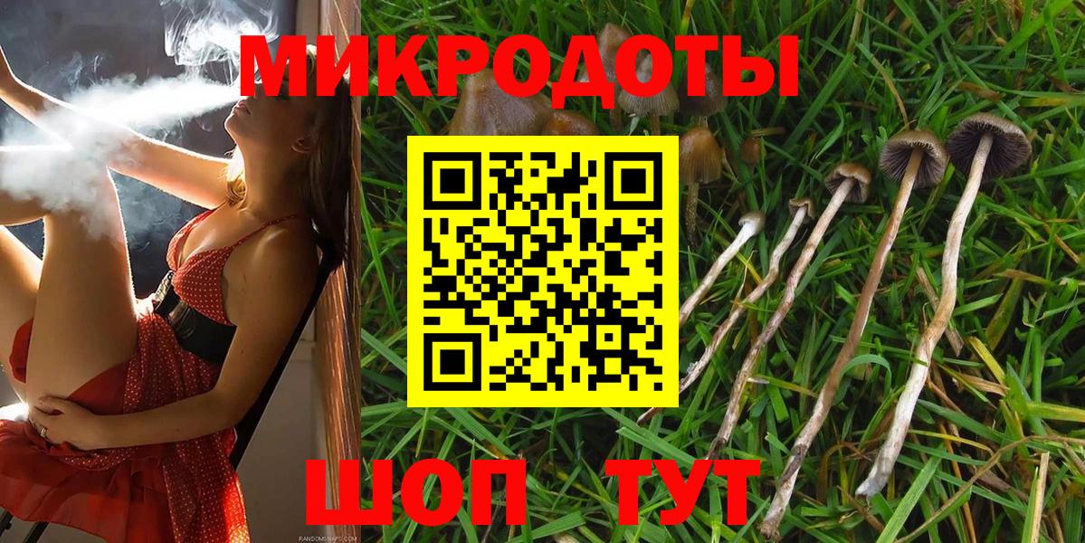 Галлюциногенные грибы мицелий  Псилоцибиновые грибы GOLDEN TEACHER  Изобильный  Вход с VPN 